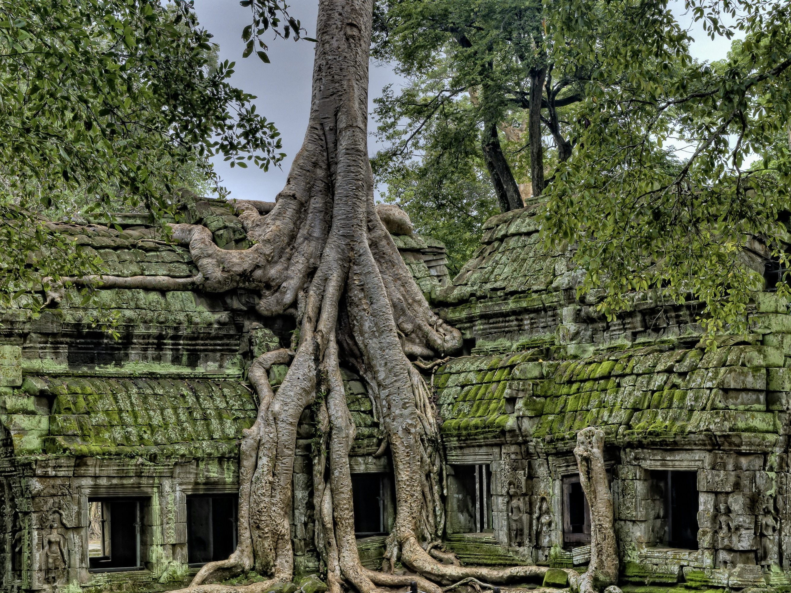 Cambodja